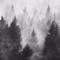 thoughtfulforest