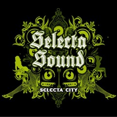 Selecta Sound Entertainment