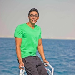 Mohammed Ahmed El-kashef