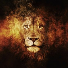Jungle Lion Terror Records