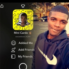 Mini_Cardo