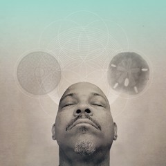 davidpilgrimislandsoul