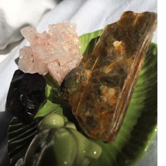 Frankie Wendle Figgs