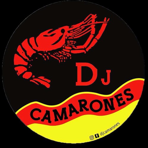 Dj Camarones’s avatar