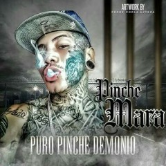EL PINCHE MARA