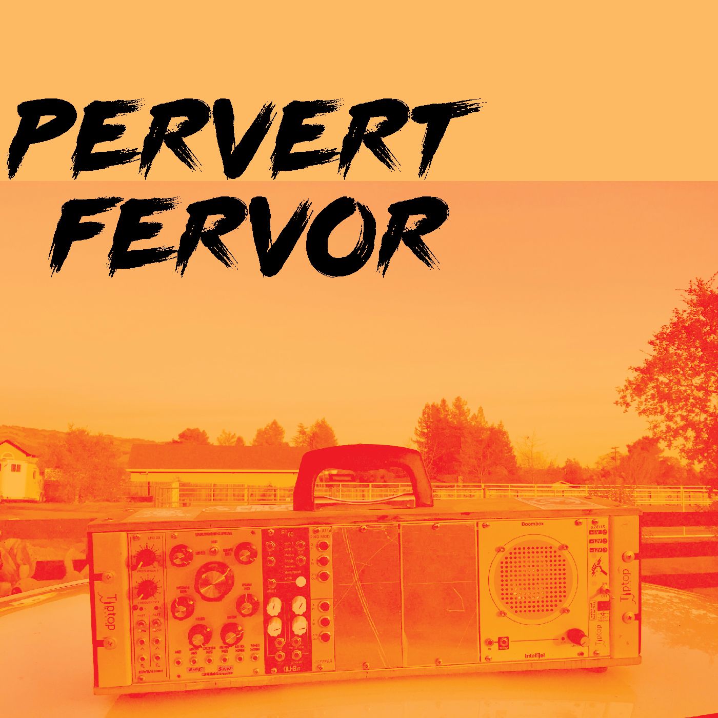 Pervert Fervor