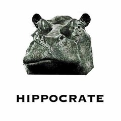 Hippocrate