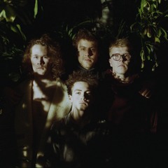 TheIndependetGalaxies