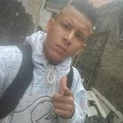 Pedro Araujo