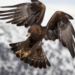 CHOIR Sings OM SO HUM Mantra (Must Listen)[1]