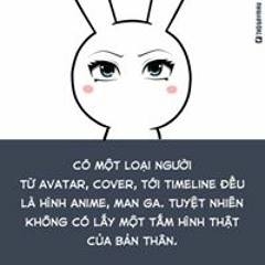 Le Viet Anh