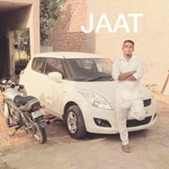 Dino Jaat