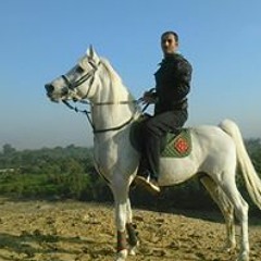 ahmed1234.am825@gmail.com