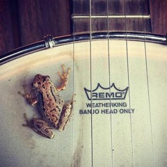 Winnipeg Home Frailers