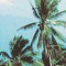 RainfallMusic