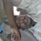 user125312397