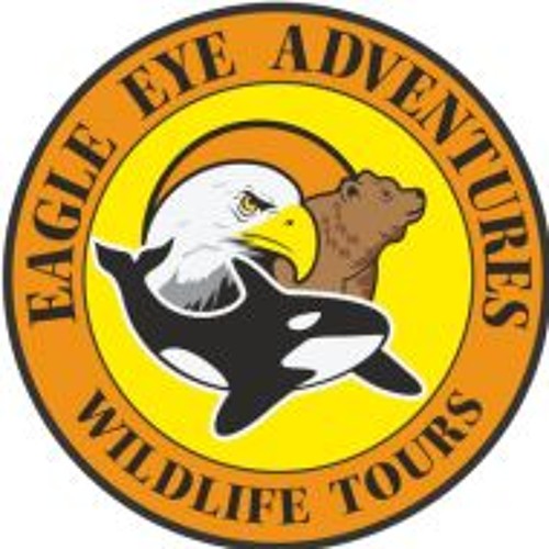 Eagle Eye Adventures’s avatar