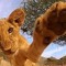 Ray Lion