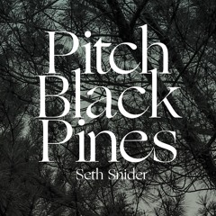 Seth Snider