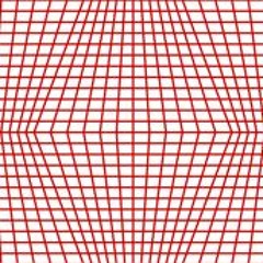 warped grid