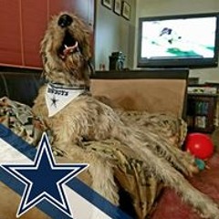 Mechelle Metcalf-Thorpe