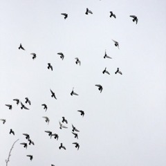 MY FIRST STORY - Home