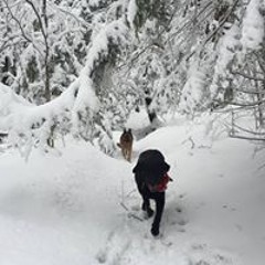 Heather Lindner Johnson