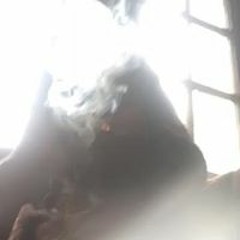 Lul Glo Sosa