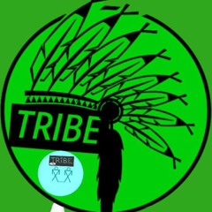 *T.R.I.B.E. COLLECTIVE*