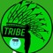 *T.R.I.B.E. COLLECTIVE*
