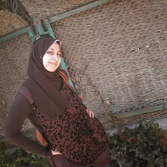 alaa essam