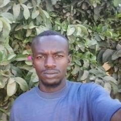 Mohammed Abd Elsalam