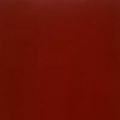 صفصاف صفصاف