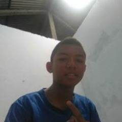 Aris Febrianto