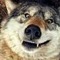 spectrewolf28