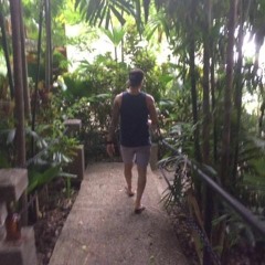 donny minus