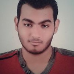 Mohamed El Hemaly