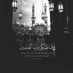 hesham saber