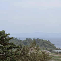 Muhammad Reza Prasojo