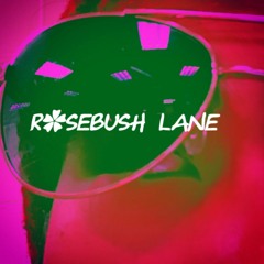 Rosebush Lane