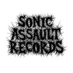 SONIC ASSAULT