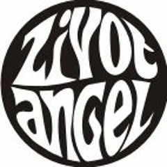 Zivot Angel