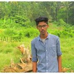 Shalbin Varghese
