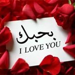 Mohamed Mahmoud Elmokawel