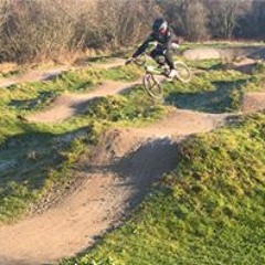 Mark Lowe