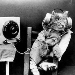 The Podcats Podcast