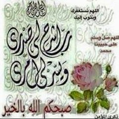 Waelessam Abd Alaziz