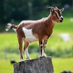 SUMMER BANGERS MINISTRY OF SOUND MASH-UP