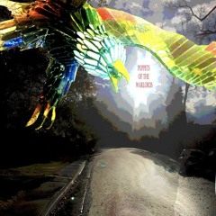 Puppets of the Warlords