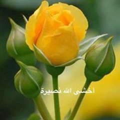 أخشى الله نصيرة